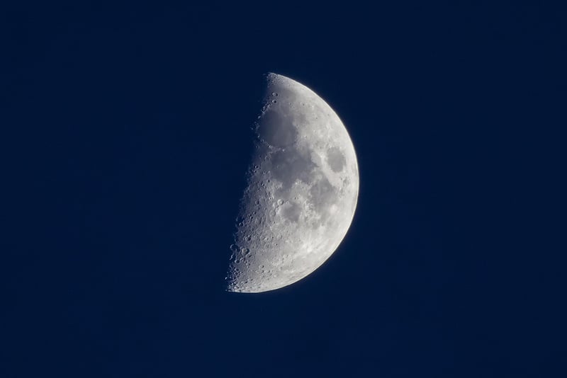 Lunar Love Portraits
